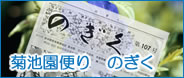 菊池園便り のぎく