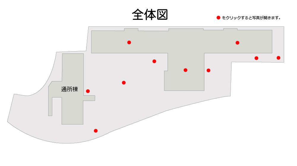 菊池園 全体図